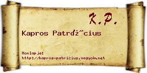 Kapros Patrícius névjegykártya